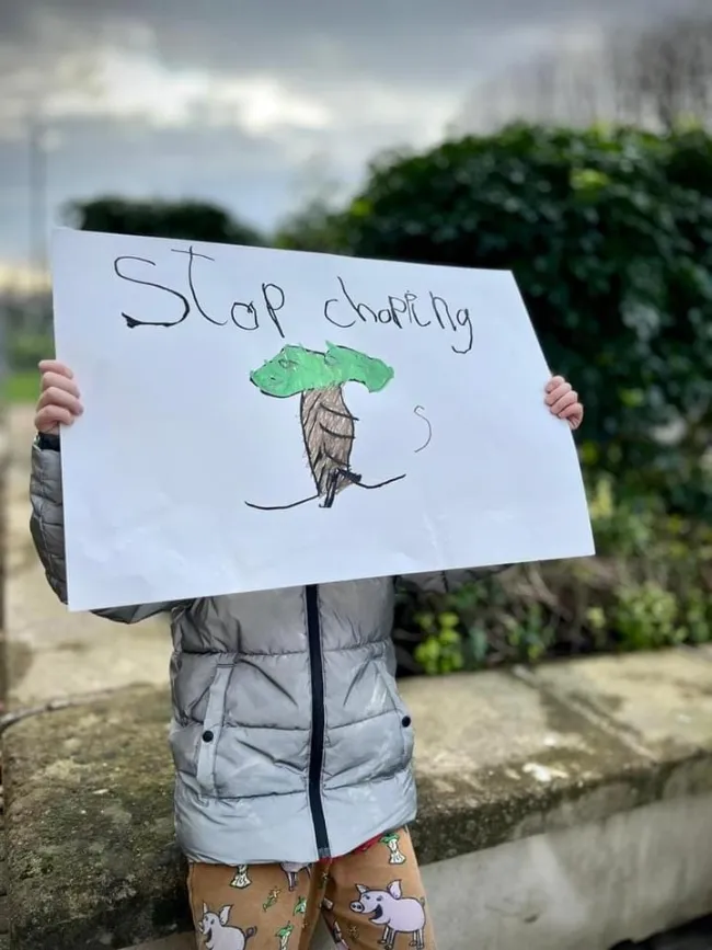Stop the chop