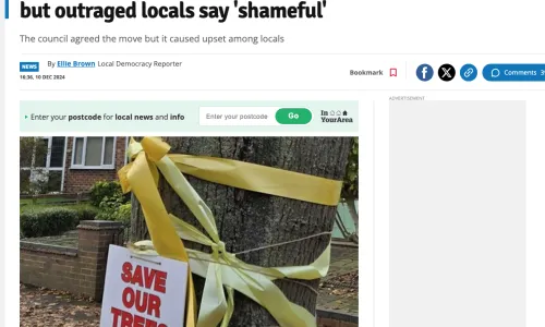 26 trees to be felled