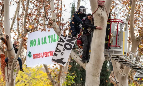 Police officers grab a climate activist during a protest by No a la Tala (No to Felling) in Arganzuela park, in Madrid Río.