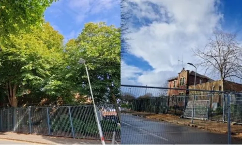 Before and after